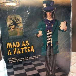 Mad as A male Hatter Halloween costume